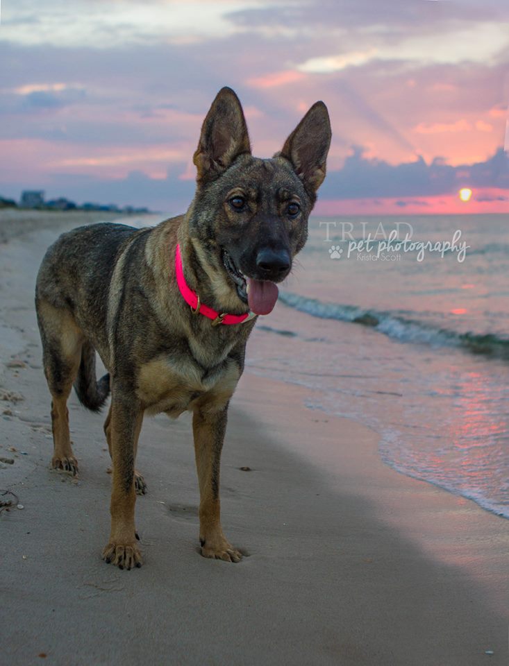 Karma on vacation with me in FL