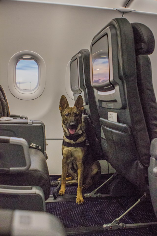 Karma in first class. SO MUCH ROOM.