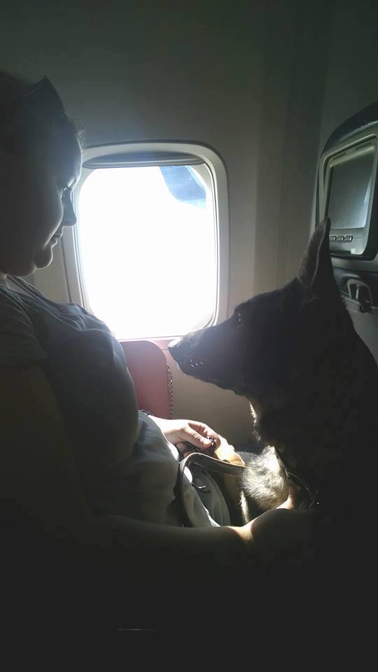 Karma accompanying me and my friends on our way to Merida Mexico.