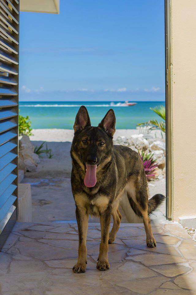 Karma with me on vacation in Chelem.