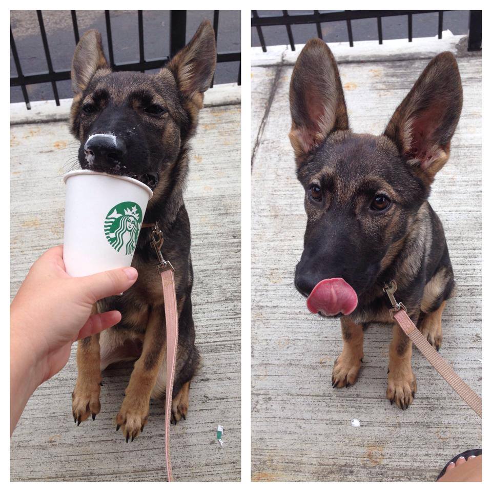 Karma as a baby with her first pupaccino.