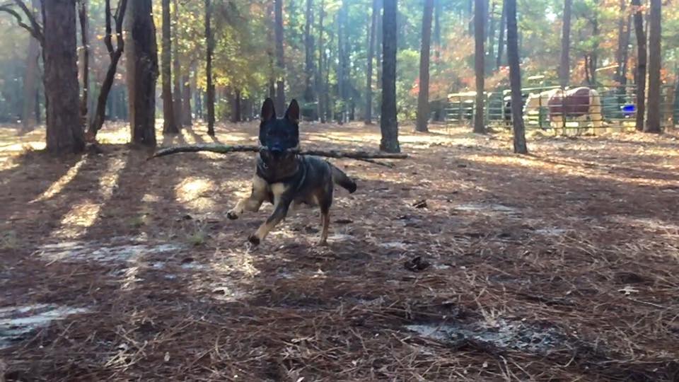 Karma making due with the biggest stick she could find.