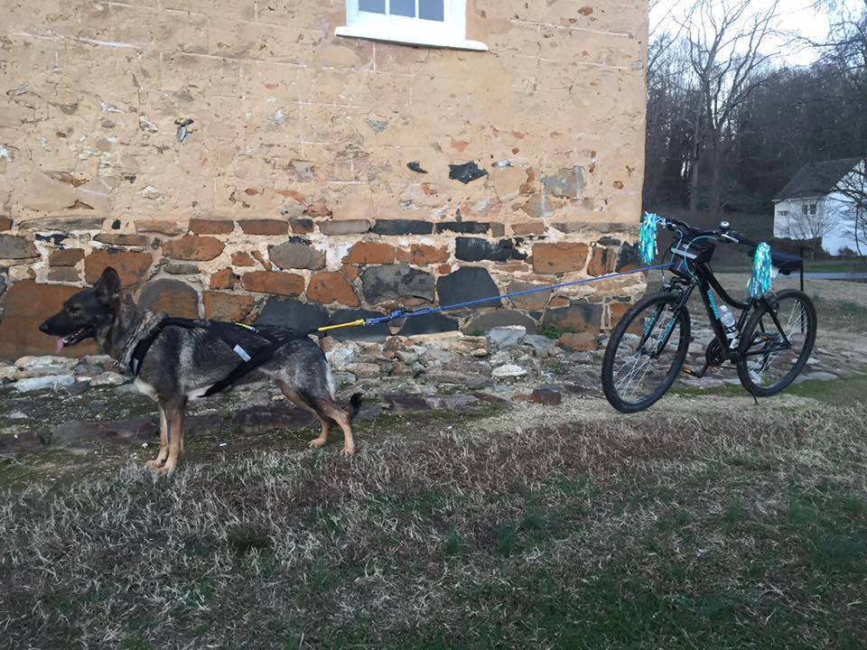 Waiting to go in Downtown Old Salem