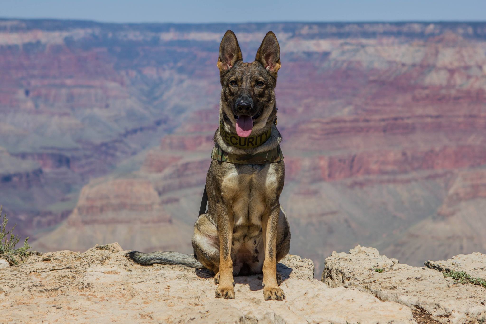 Karma at the Grand Canyon