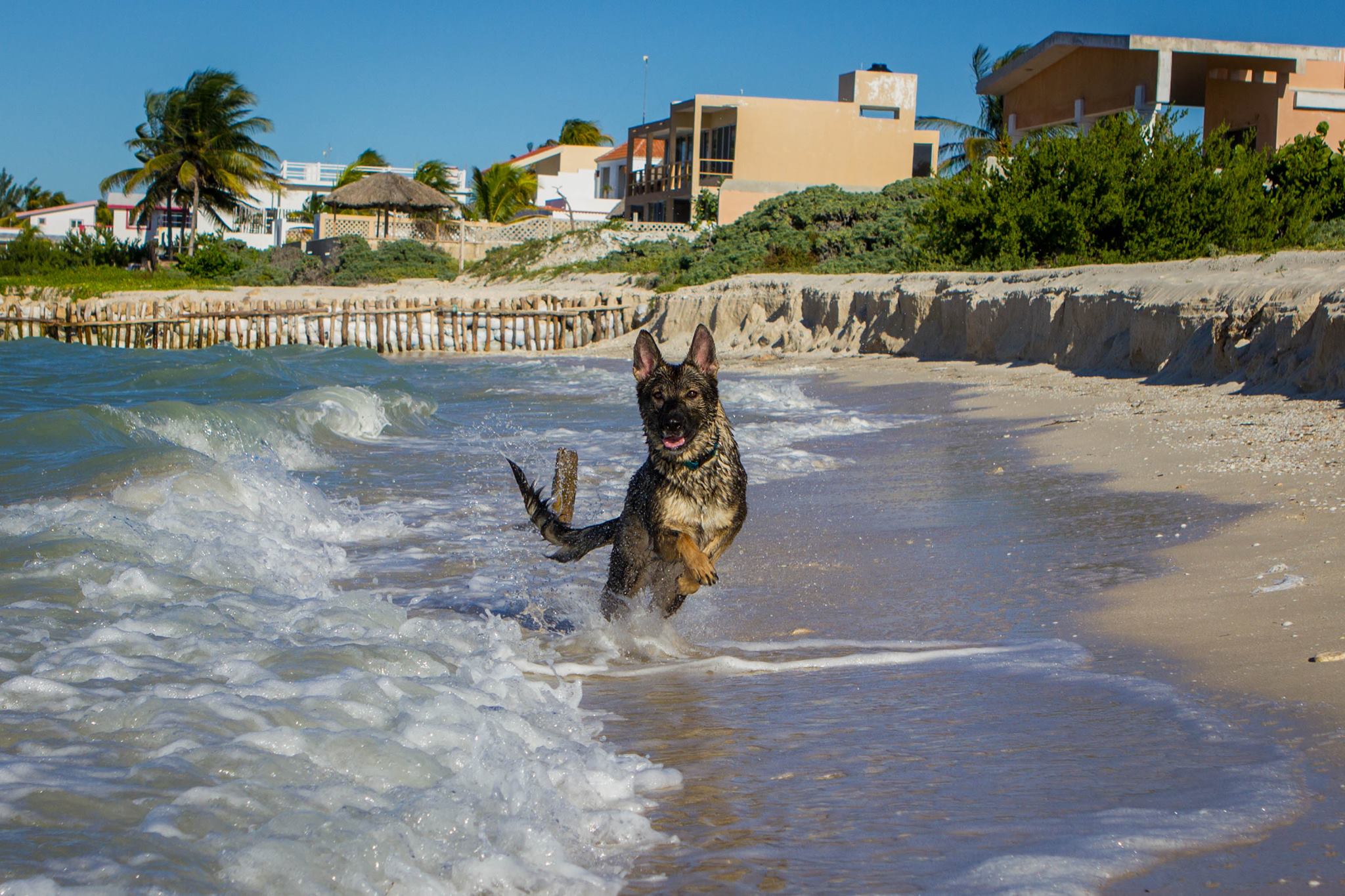 More beach vacation.