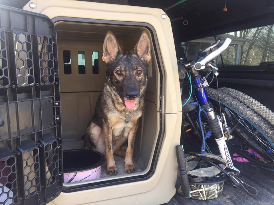 Karma ready to head to the bike trail.