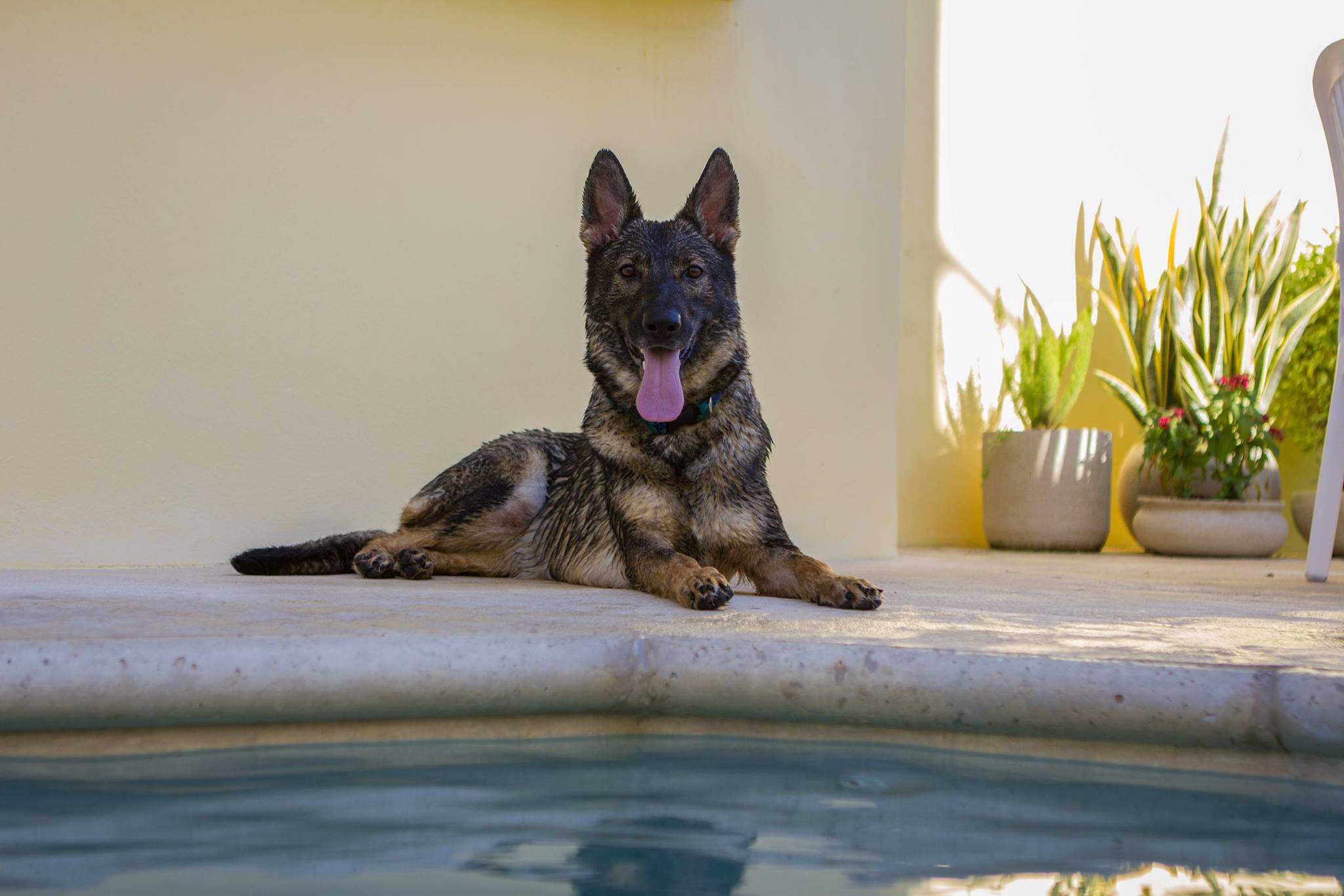Karma on vacation poolside