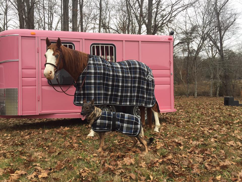 Karma with Sky. They had to have matching blankets.