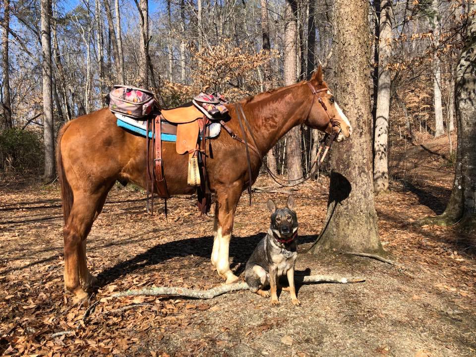 Karma waiting for me to mount up.