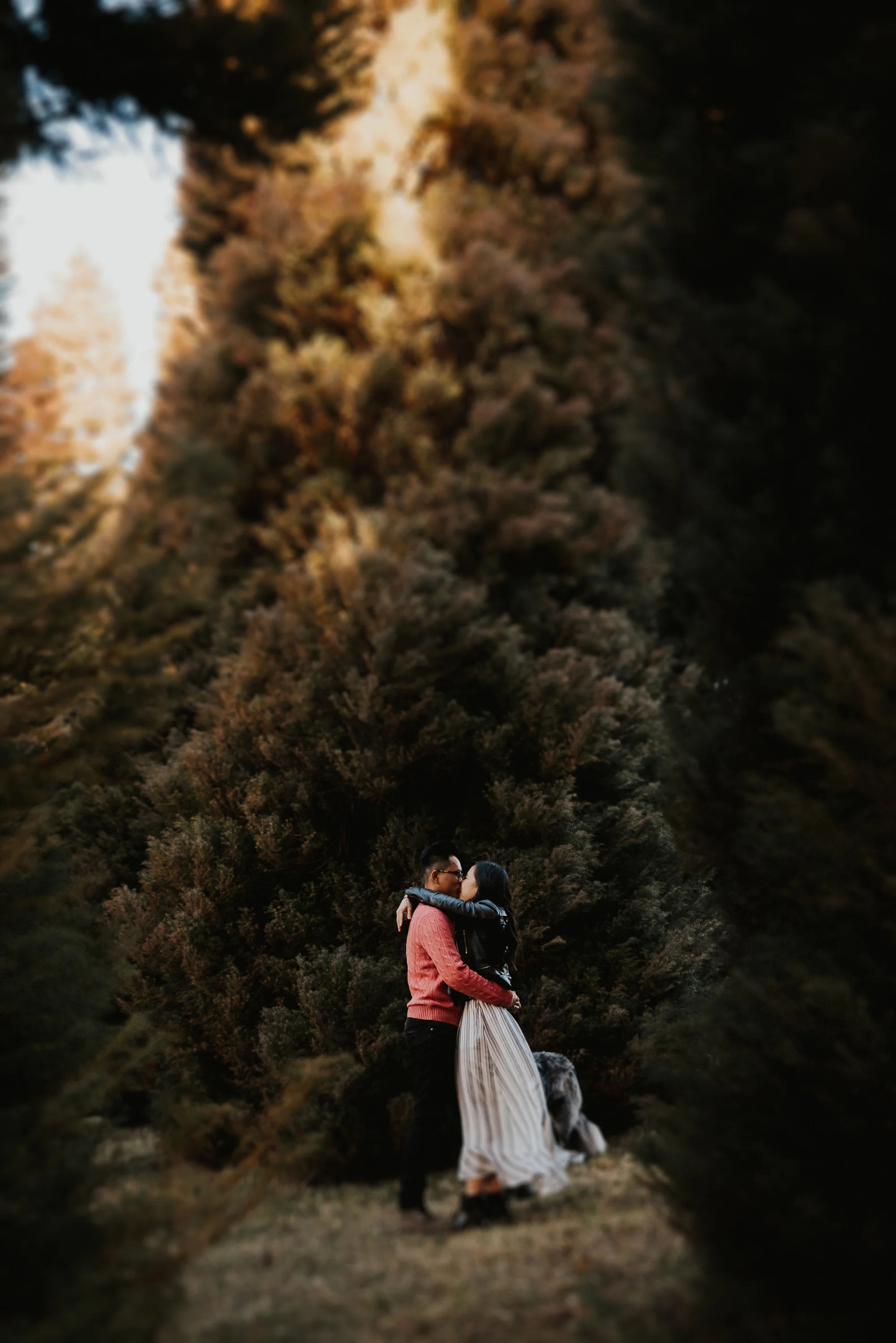 Alicia&Jameson617717.jpg
