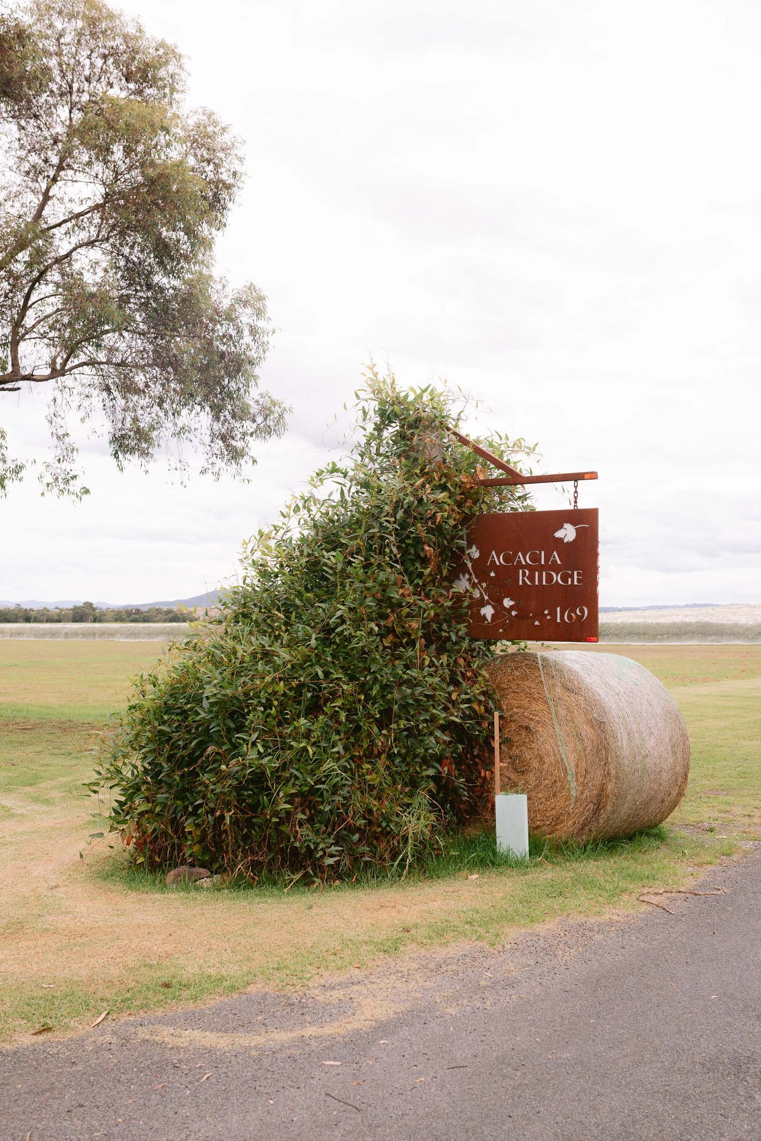 Country road with a large round hay bale and a wooden sign labeled 'Acacia Ridge 169' beside greenery and a tree.