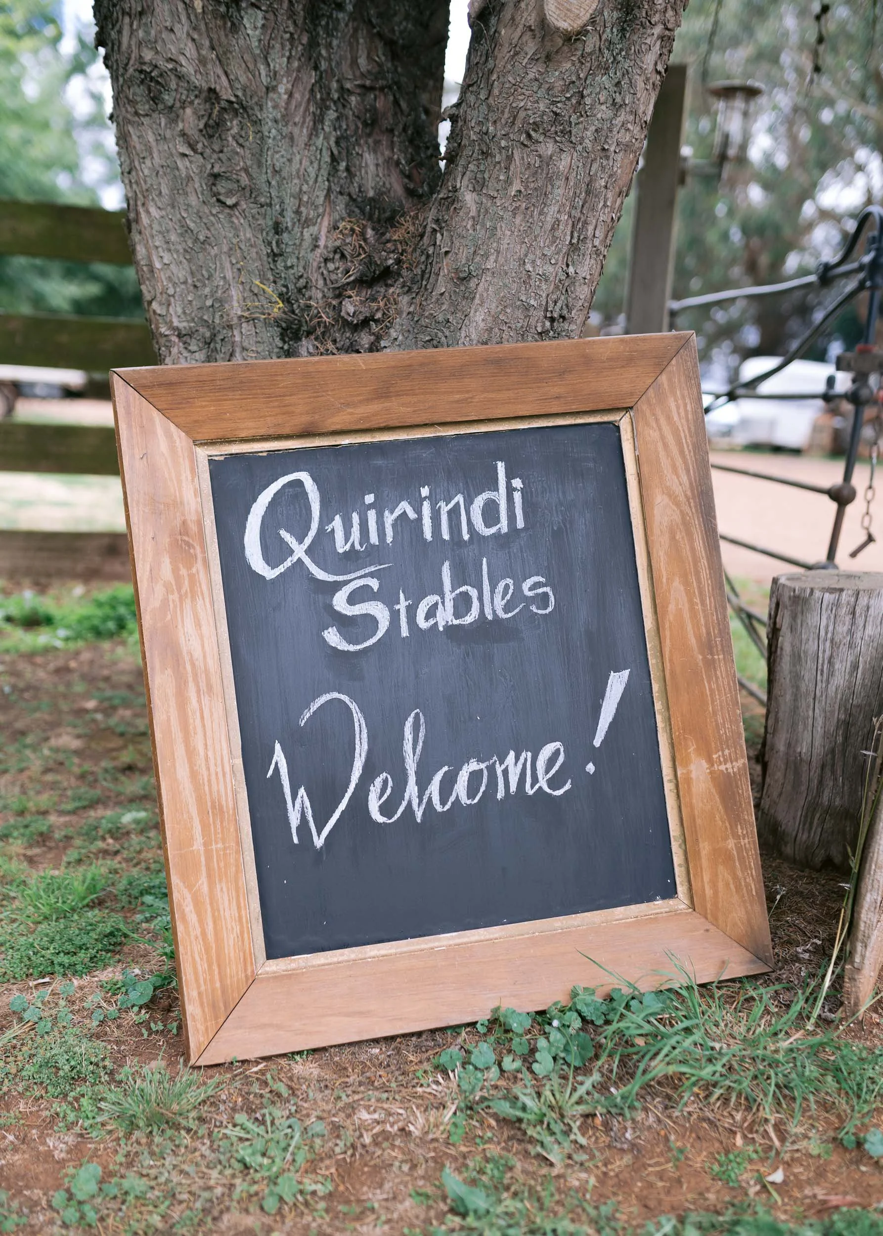 A chalkboard sign with a wooden frame placed on the ground next to a tree, welcoming visitors to Quirindi Stables.