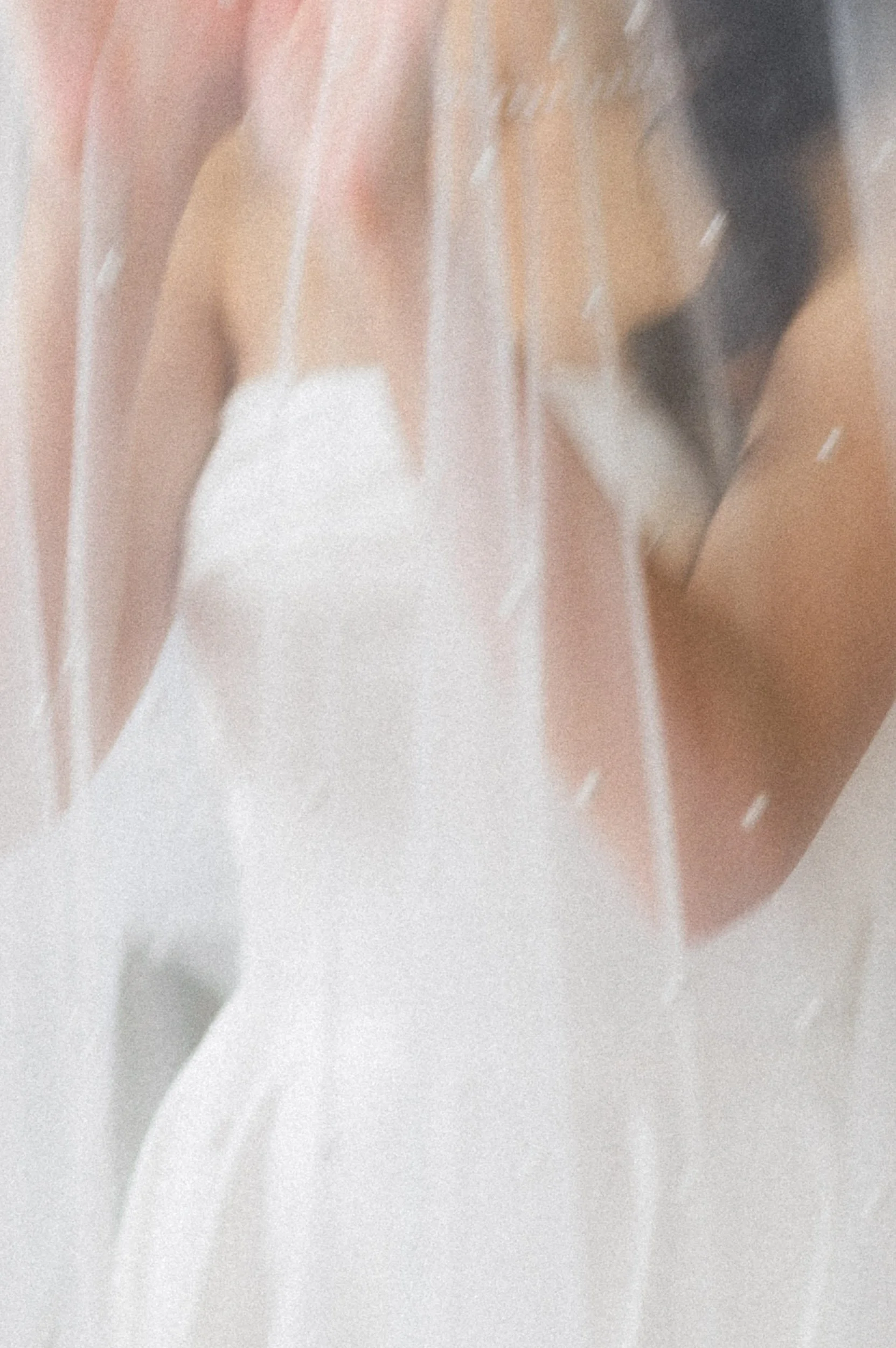 Bride wearing a white wedding dress and veil