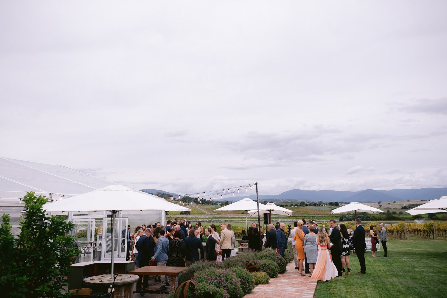 Outdoor wedding reception with guests under white umbrellas at a vineyard with mountains in the background.