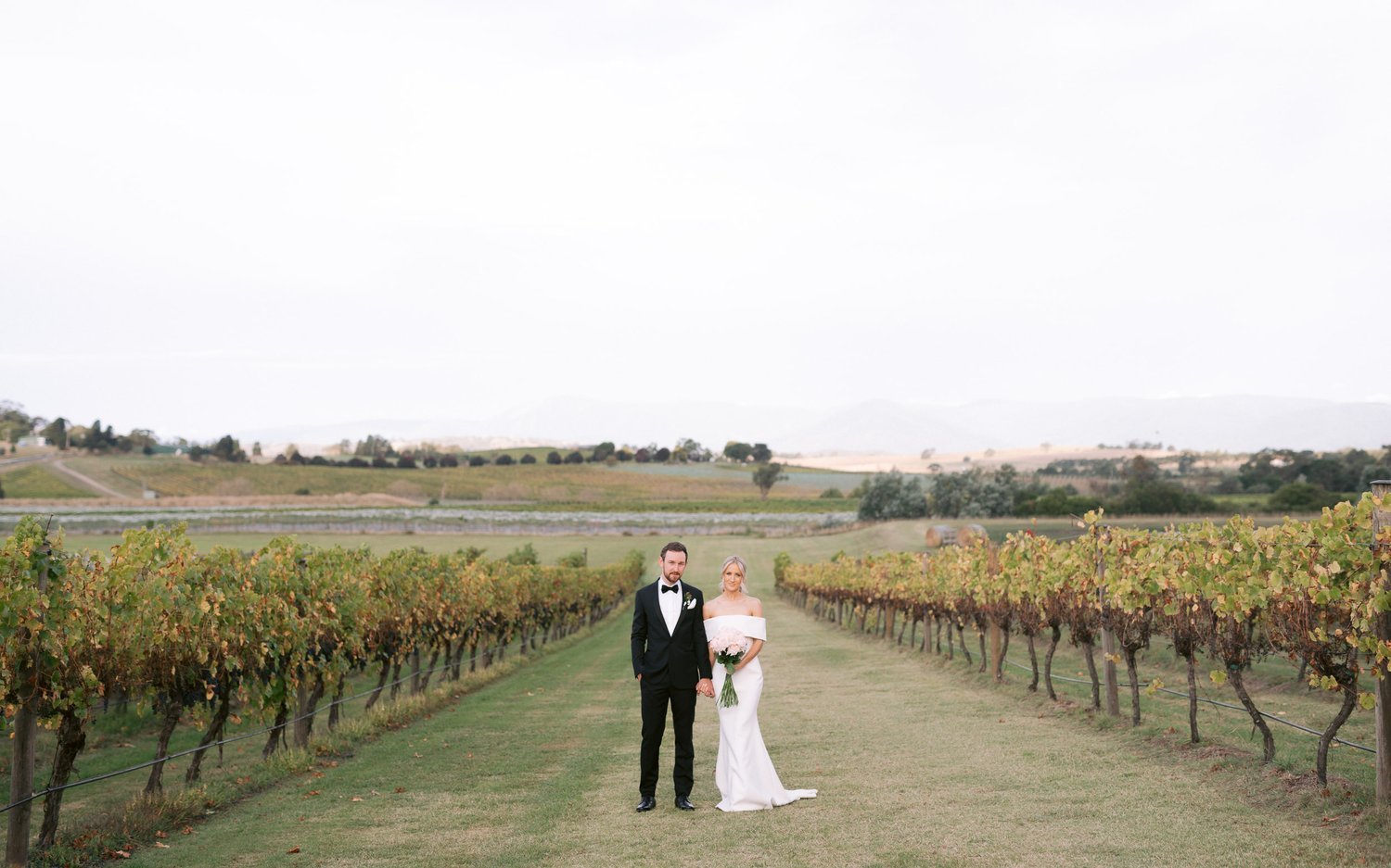 Bride and groom standing in a vineyard of Acacia Ridge Winery with distant hills, wearing formal wedding attire, lush grapevines on either side.