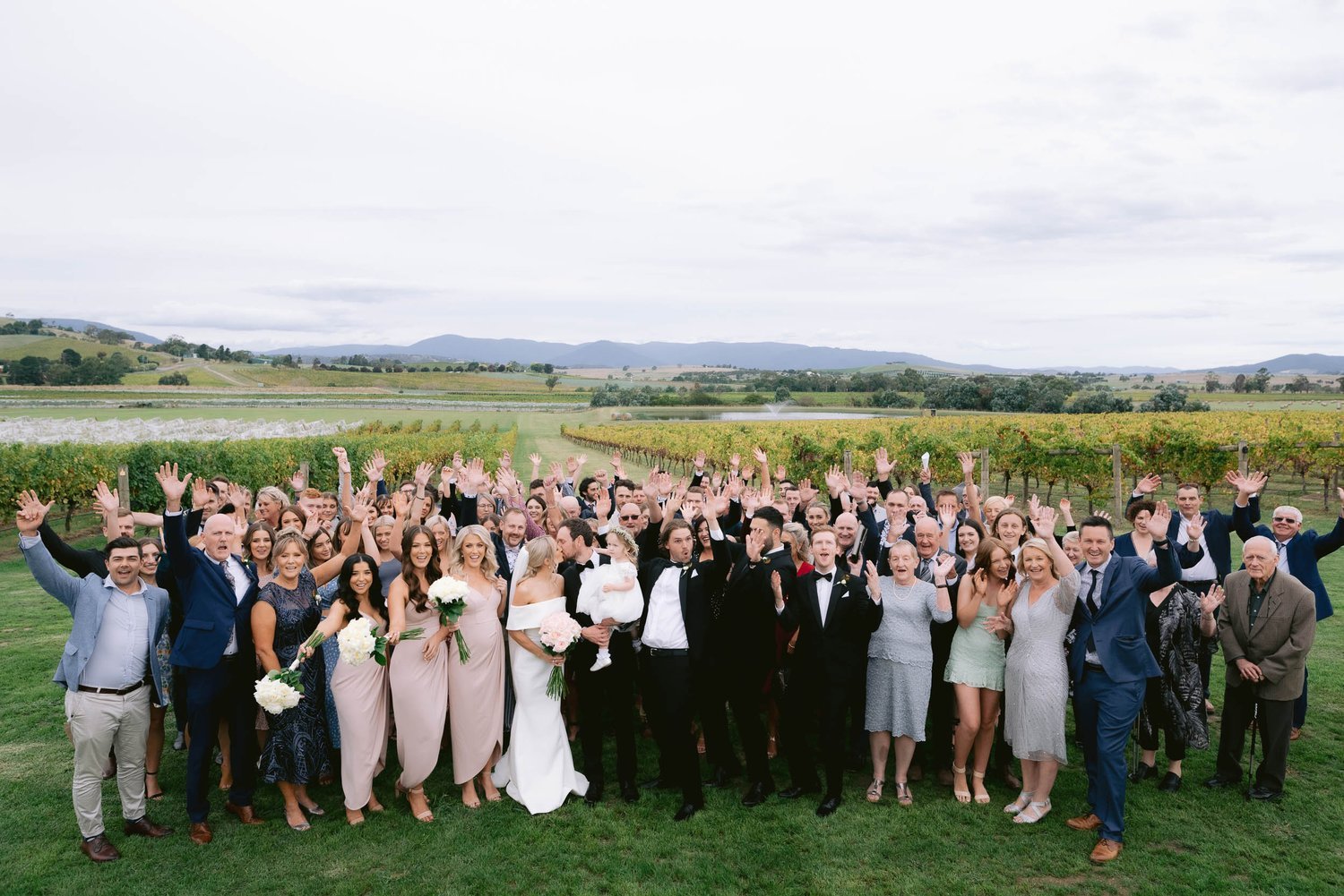 Large group of people celebrating at an outdoor wedding, with vineyard and mountains in the background.