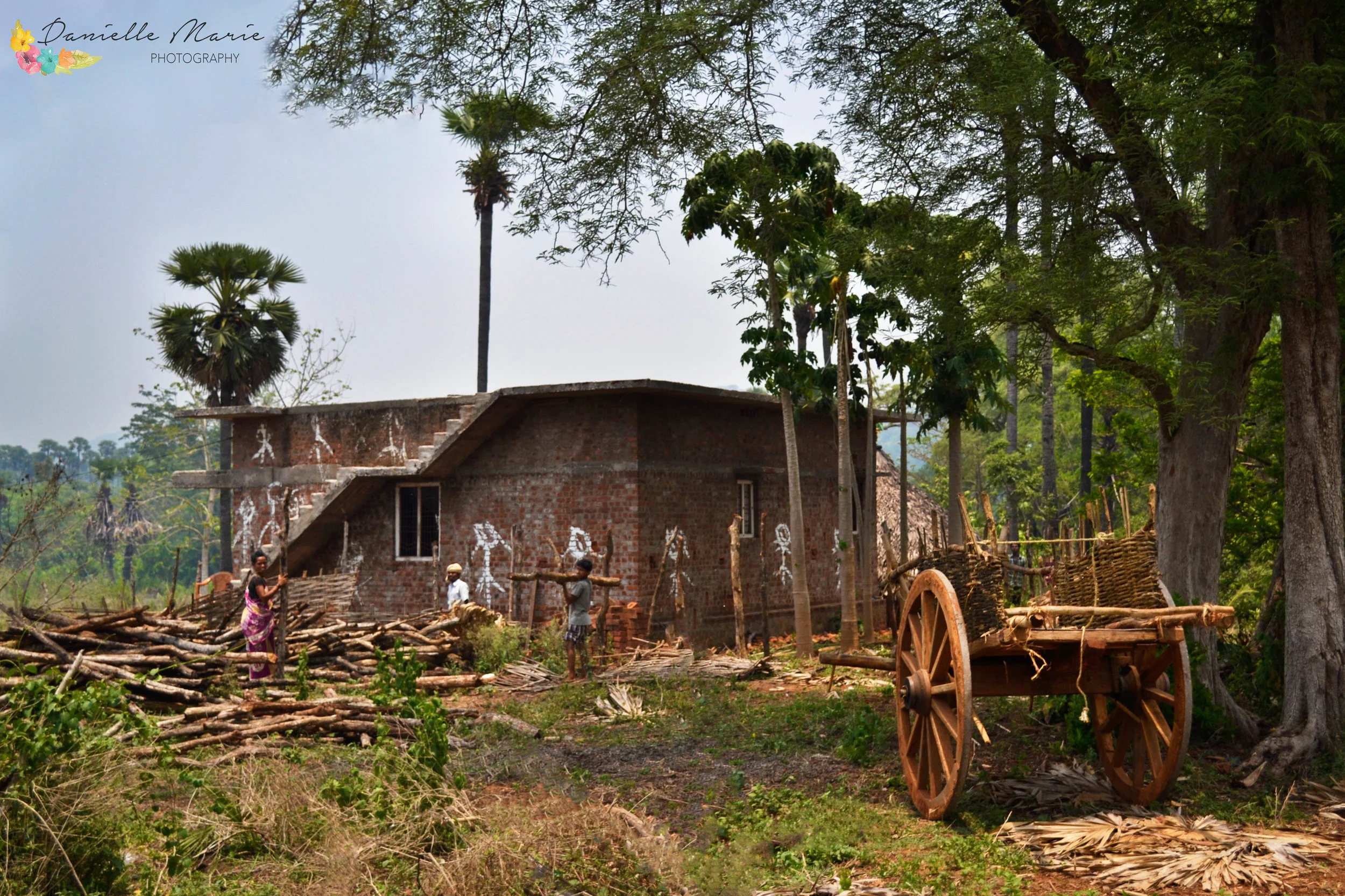 India_Debley-22.jpg
