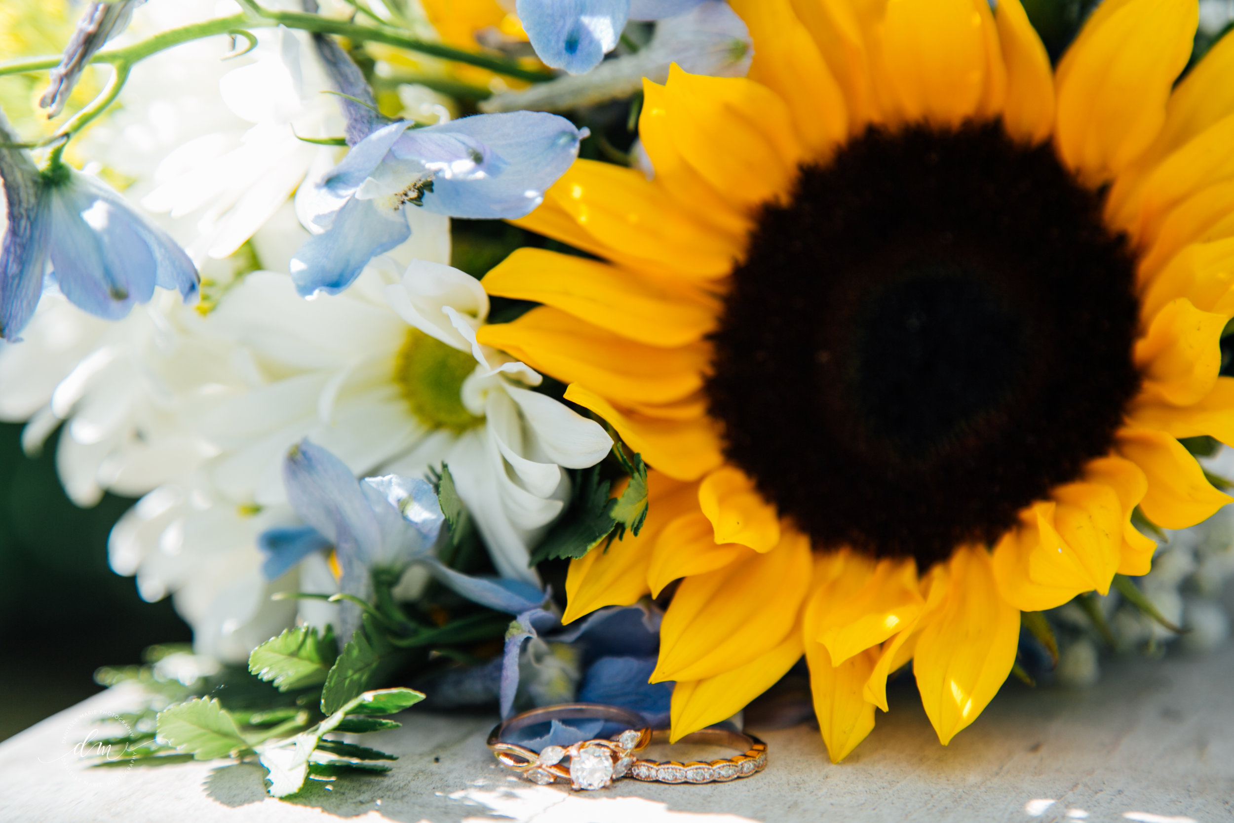 Mike&Katie-102.jpg