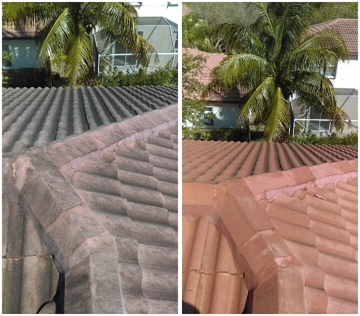 beforeandafterd3111f53-bb22-45cb-8211-2183e5344e8b - Copy.jpg