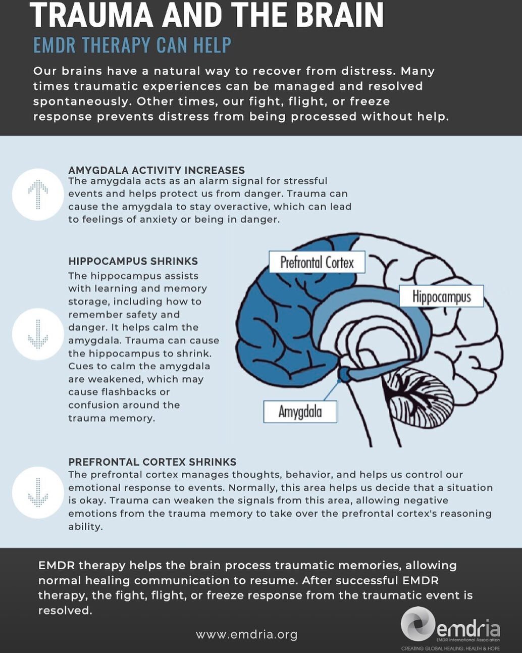 I saw this on LinkedIn and had to share.  We know from Neuroscience that the brain changes as a result of trauma.  This is a great guide as to how the brain changes.  EMDR helps clients to alleviate symptoms and helps aid in trauma recovery.  #trauma