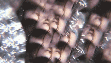 tumblr_llzsrs1PU61qbn8upo1_400.gif