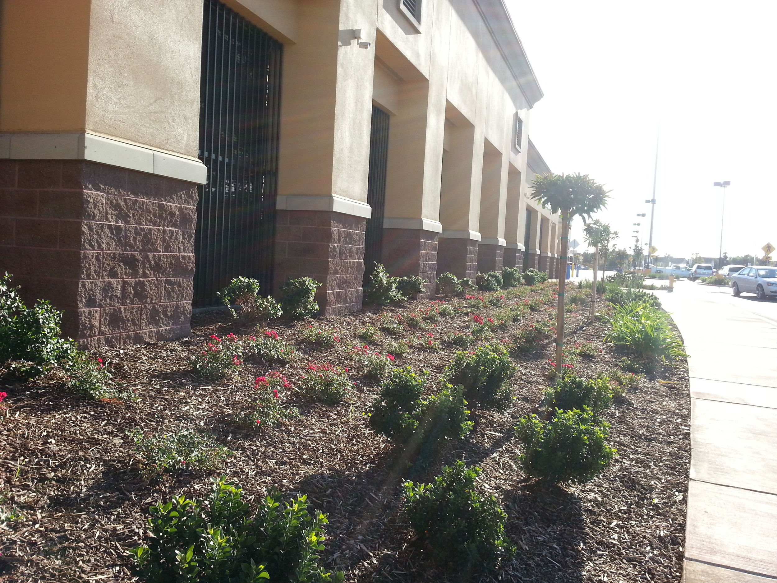 20120912_172843.jpg