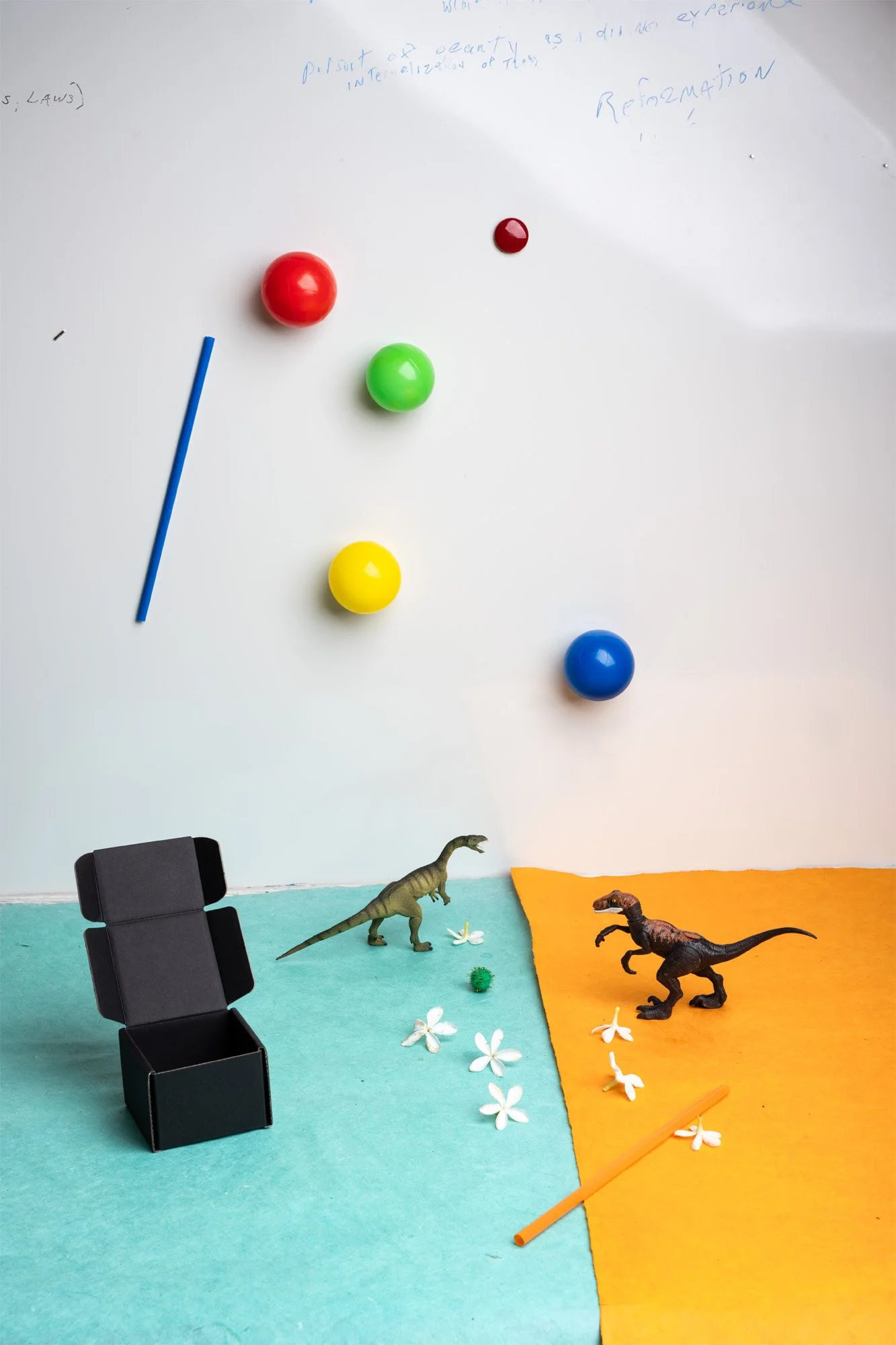 Dinos and Reformation copy 2.jpg