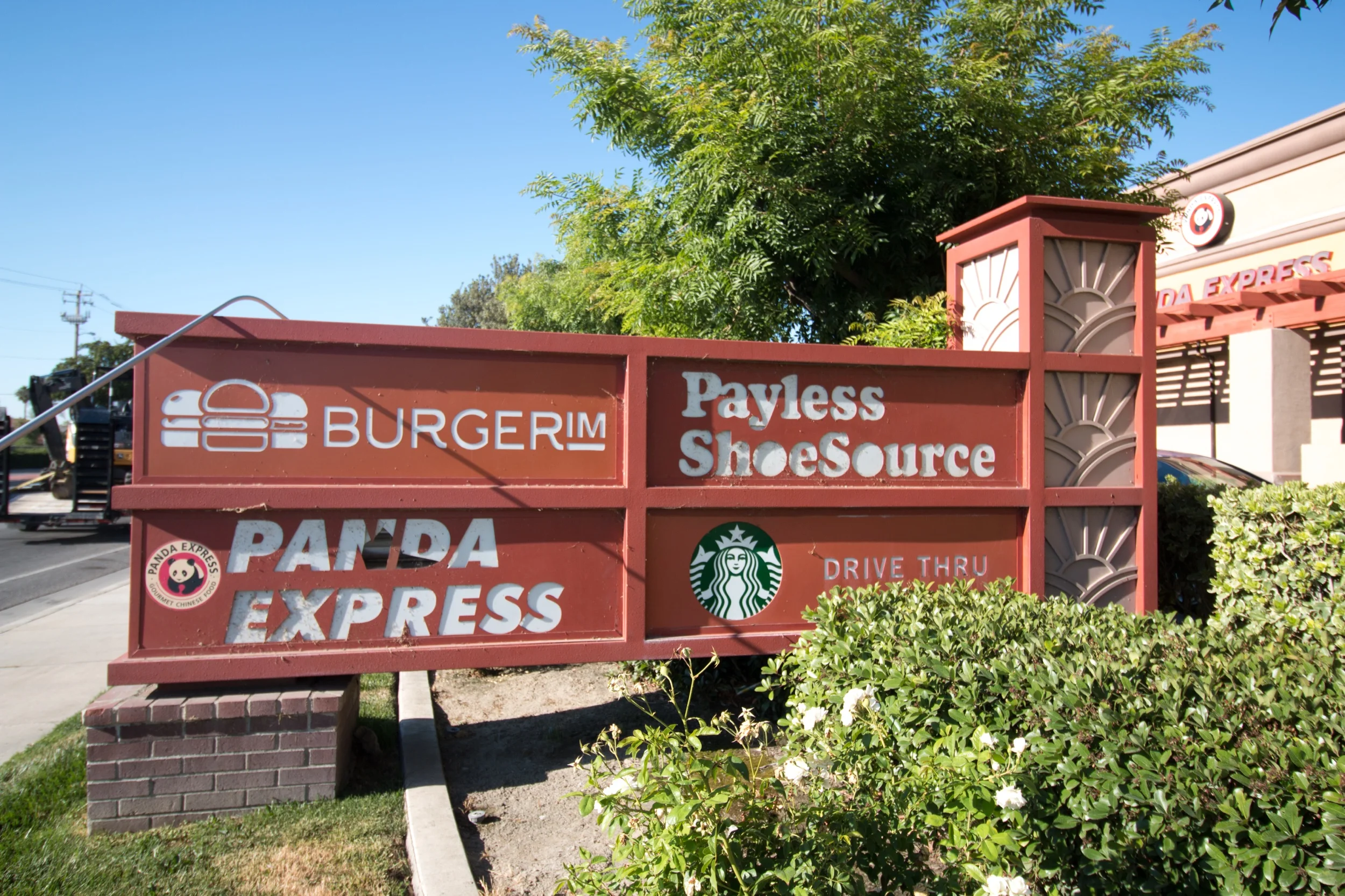 ground view-6893.jpeg