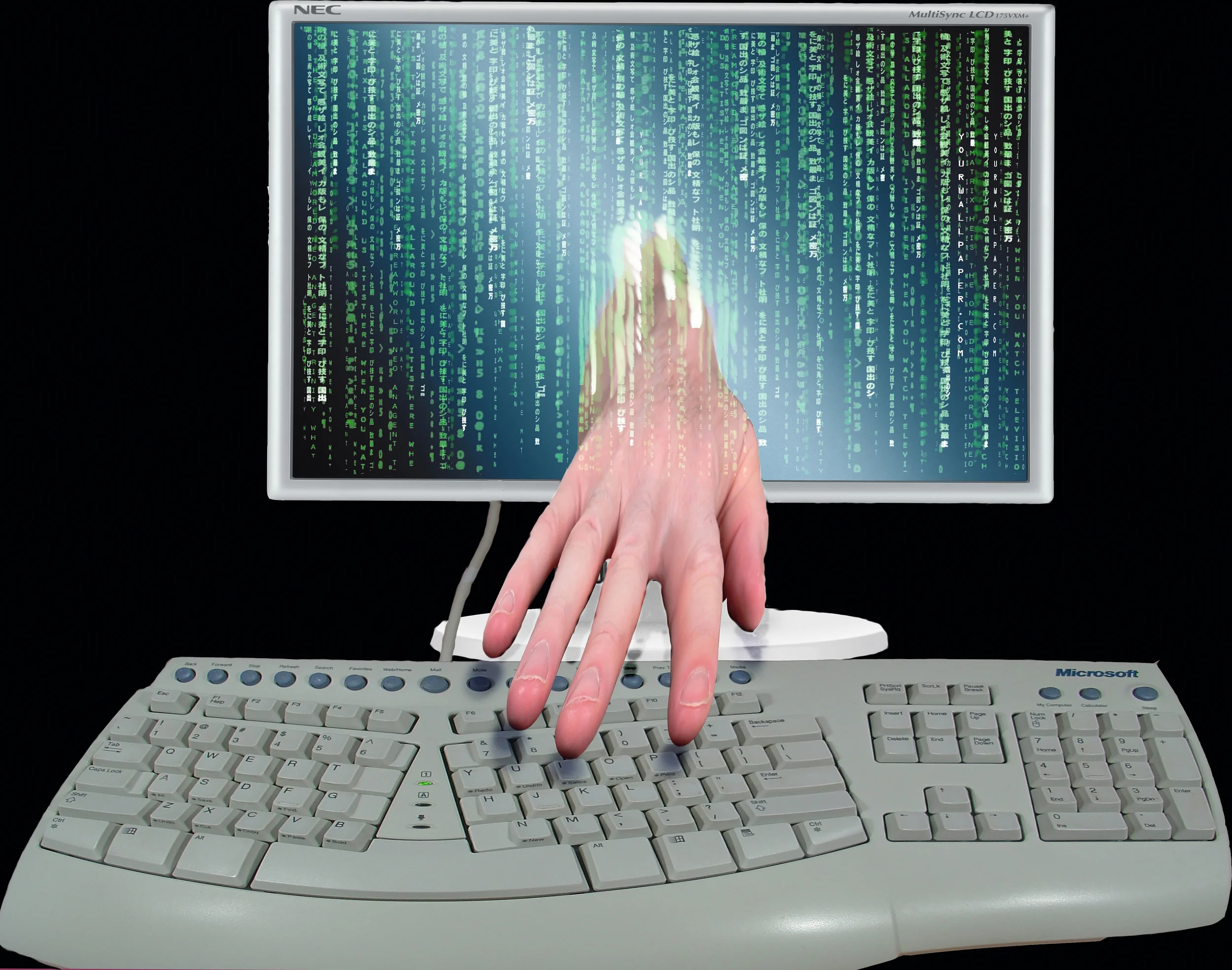 Could you elder be subject of fraud or a scam?