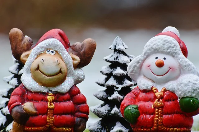 Keep Seniors Family, Friends, Loved ones, Pets, Home and Automobile Safe during the Holidays
