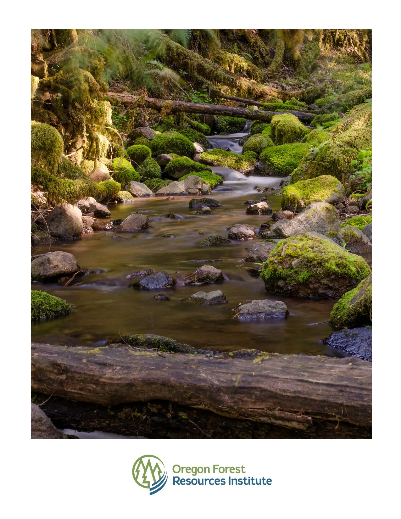 OFRI - Strategic Plan Booklet_10.26.235.jpg