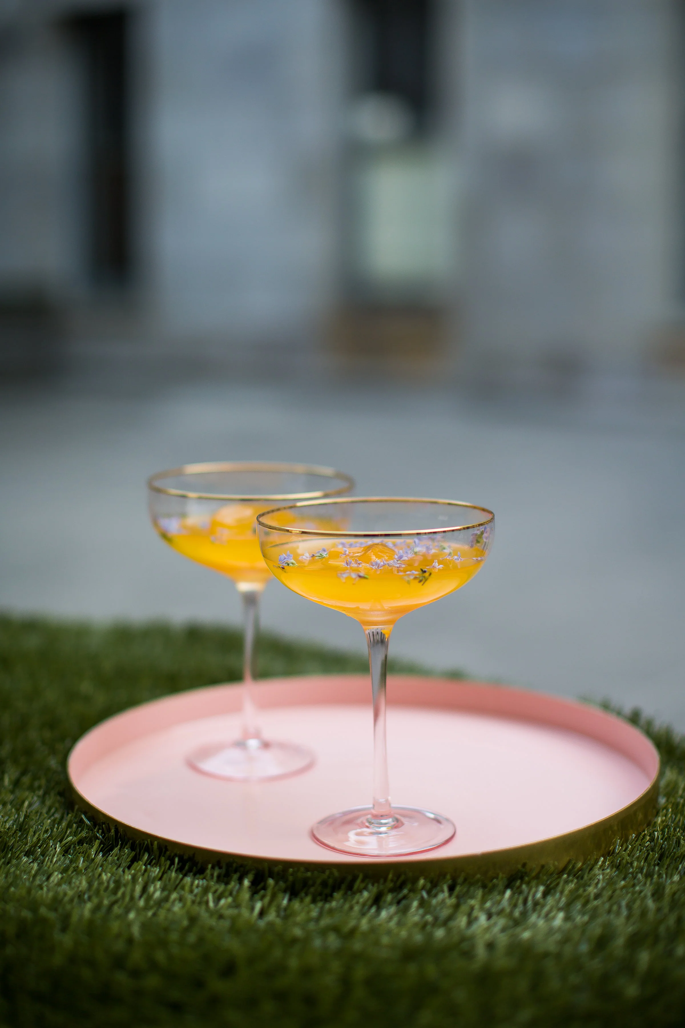 wes_anderson_styled_wedding-186.jpg