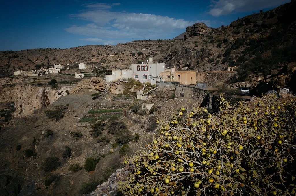 oman4095.jpg