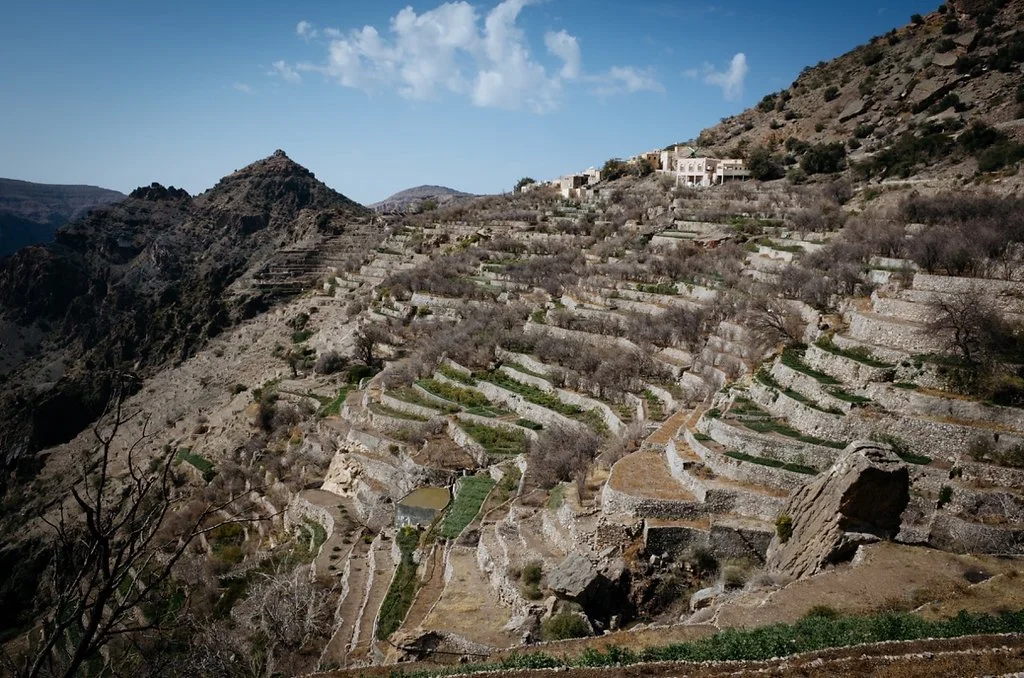 oman4209.jpg