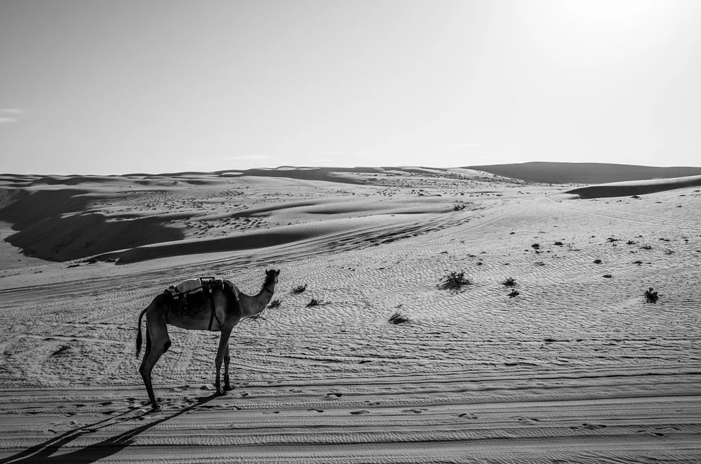 oman3481.jpg
