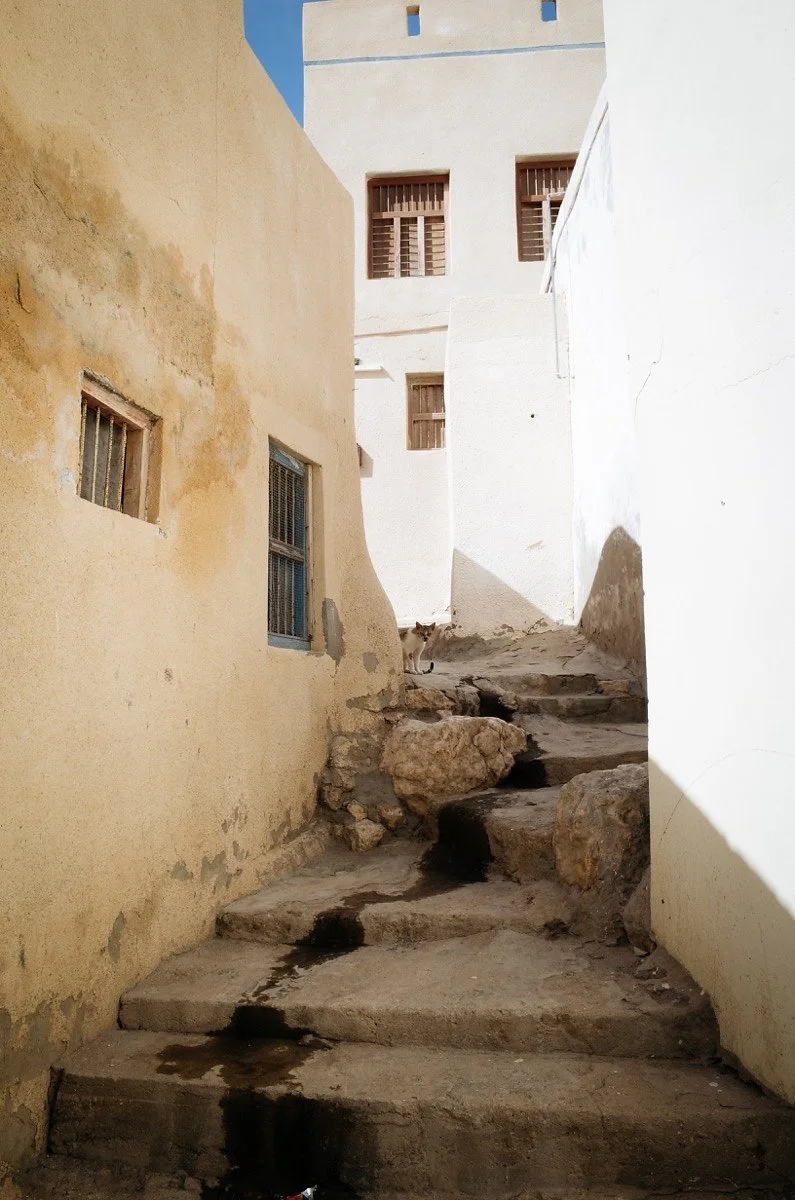 oman2984.jpg