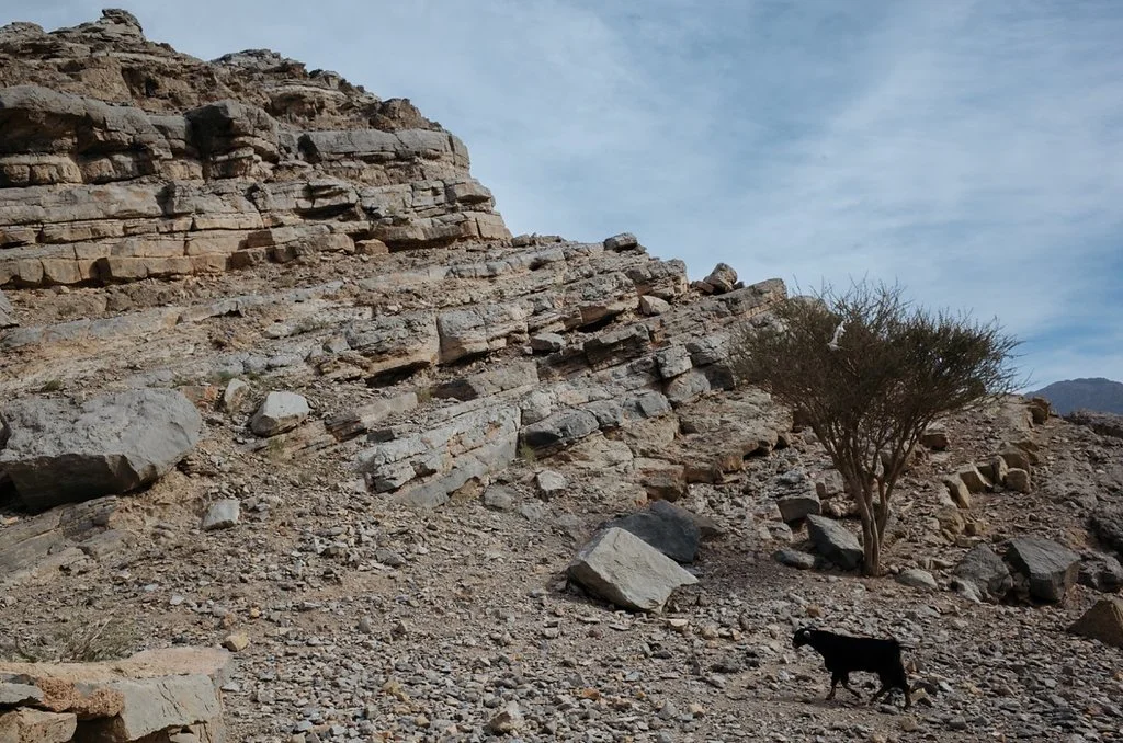 oman0800.jpg