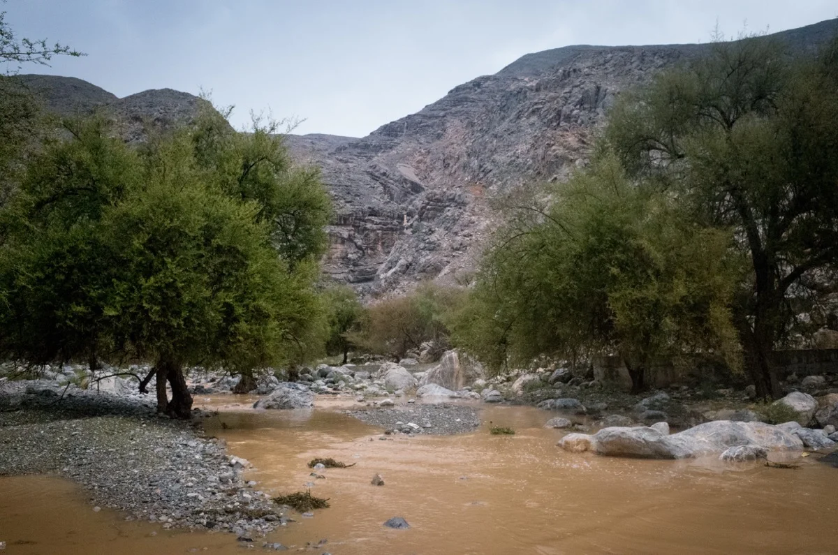 oman4518.jpg
