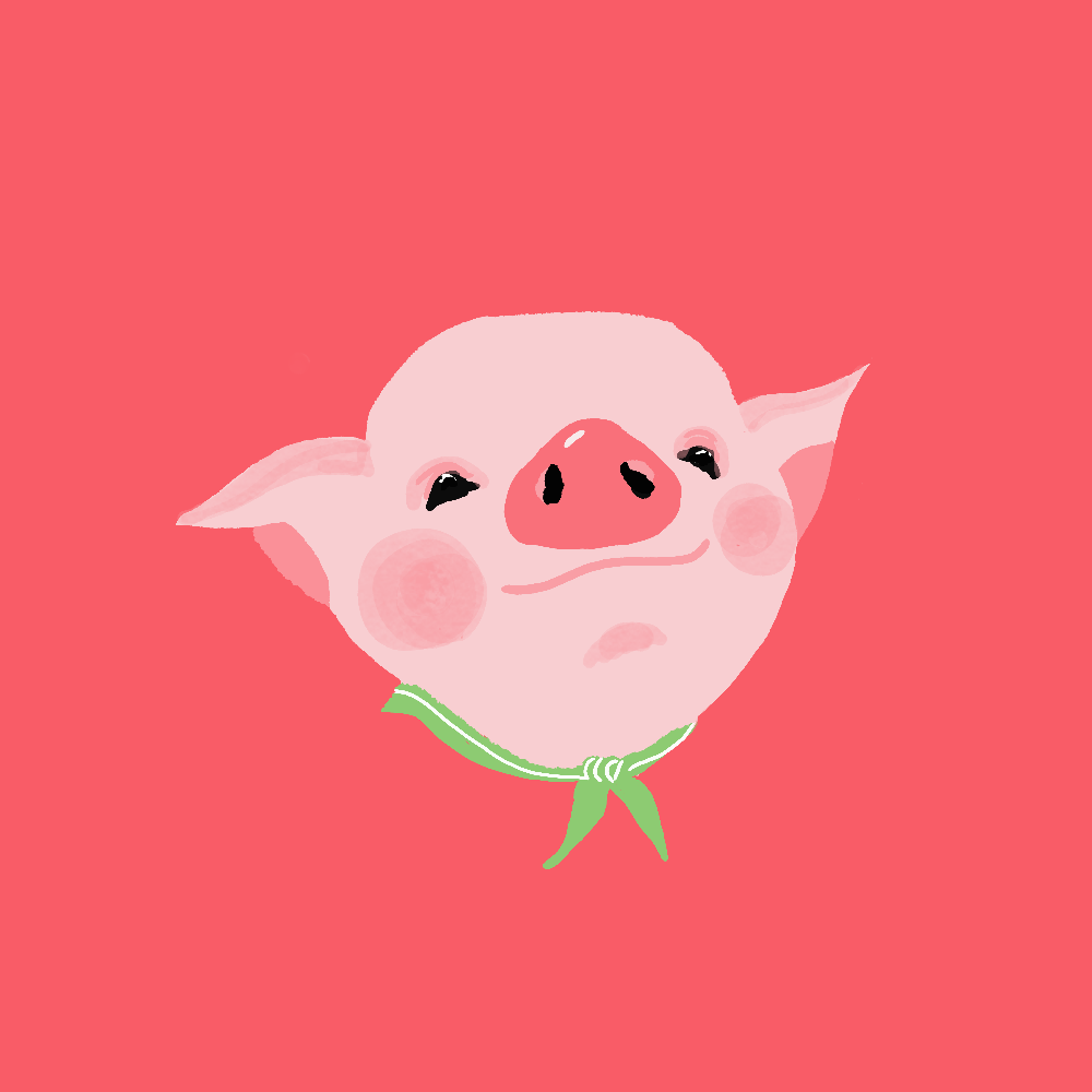 pig.png