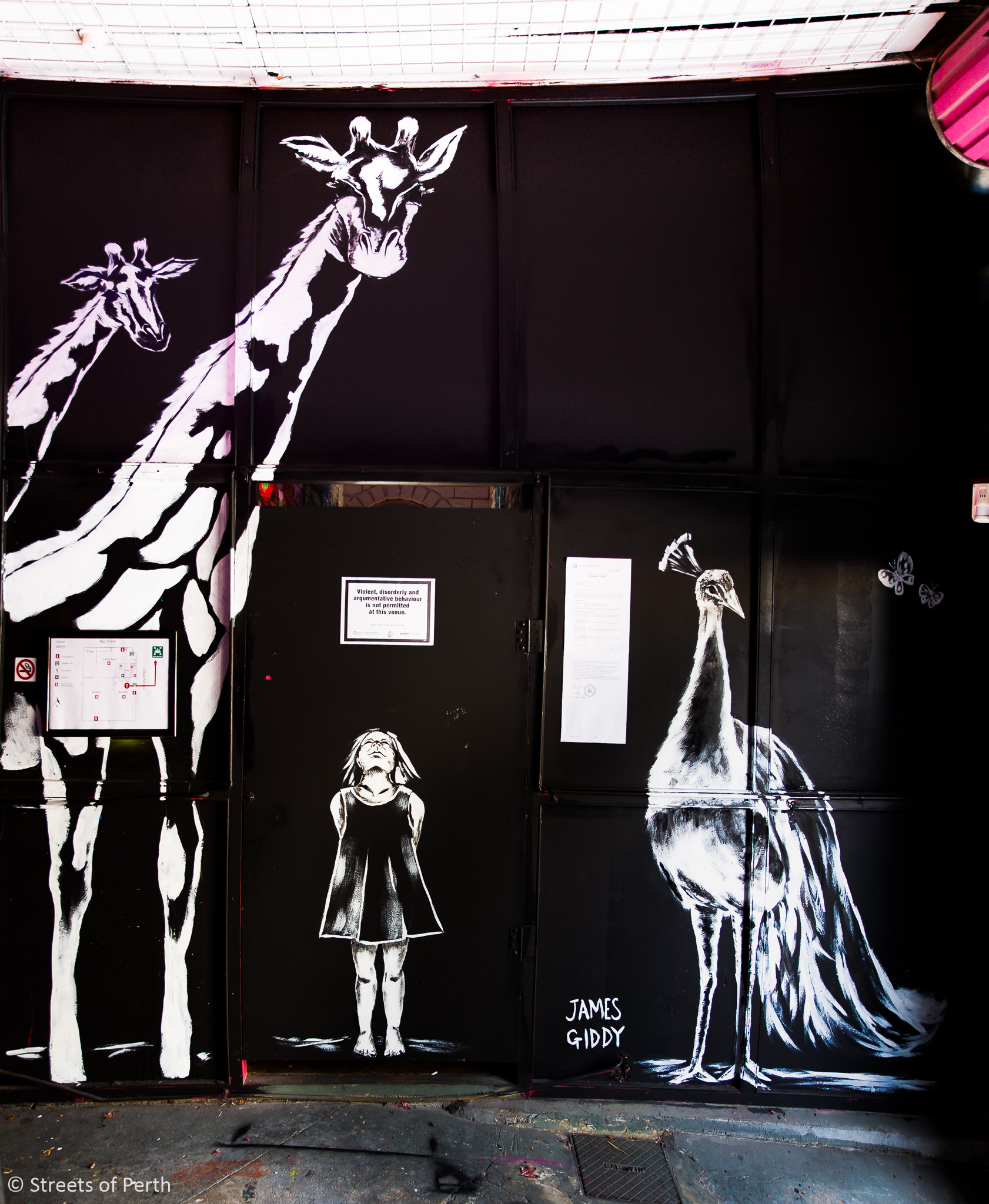 20140705-SoP-untitled-0277-Edit00503.jpg