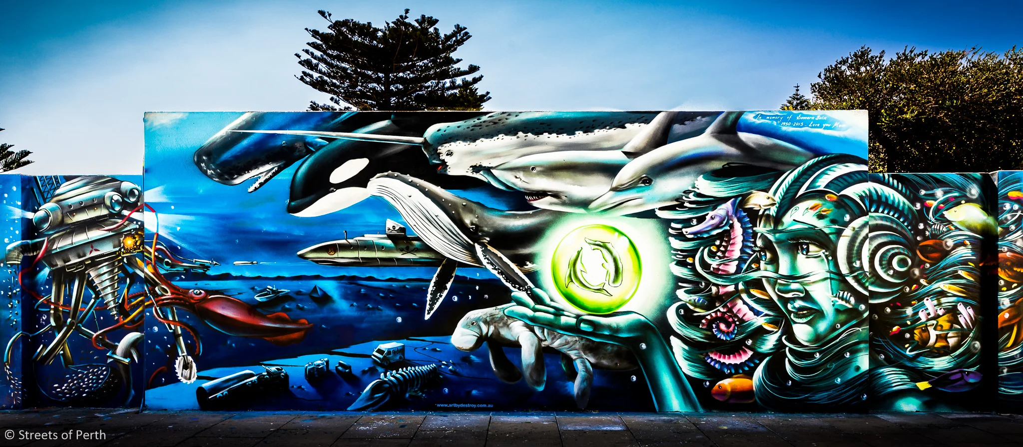 20140914-SoP-untitled-209901605.jpg