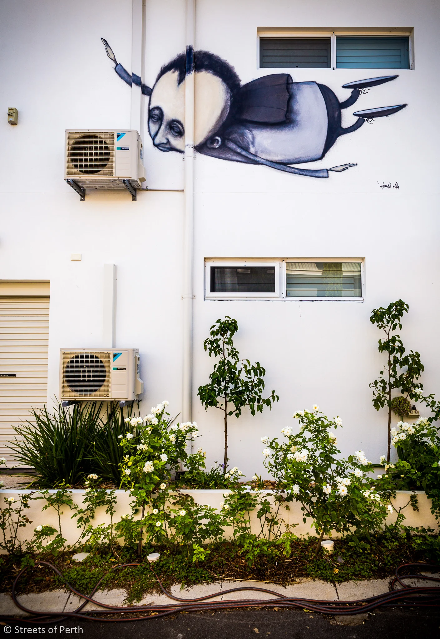 20150207-SoP-untitled-209203950.jpg