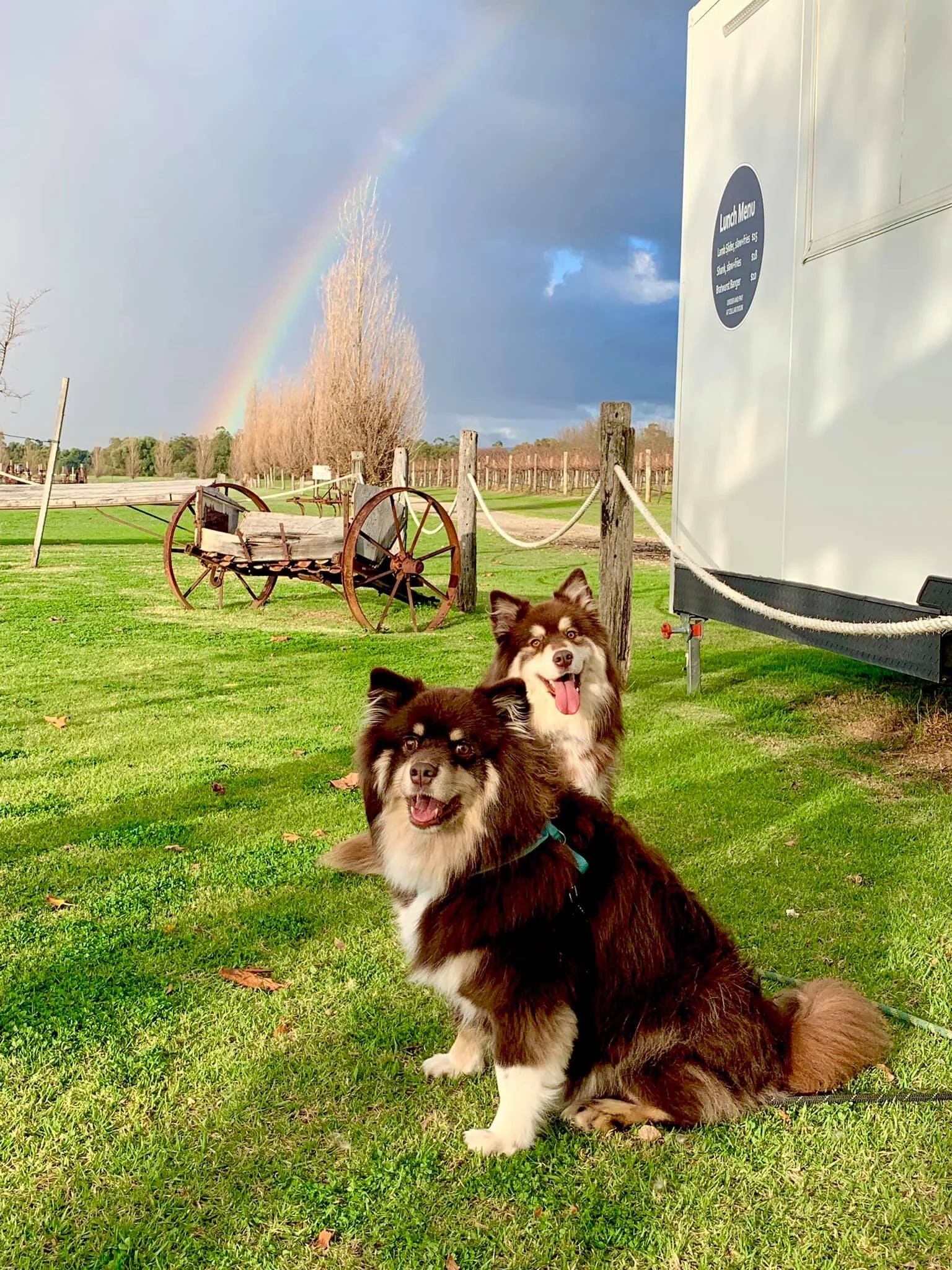 Photo taken at lancaster winery, swan valley