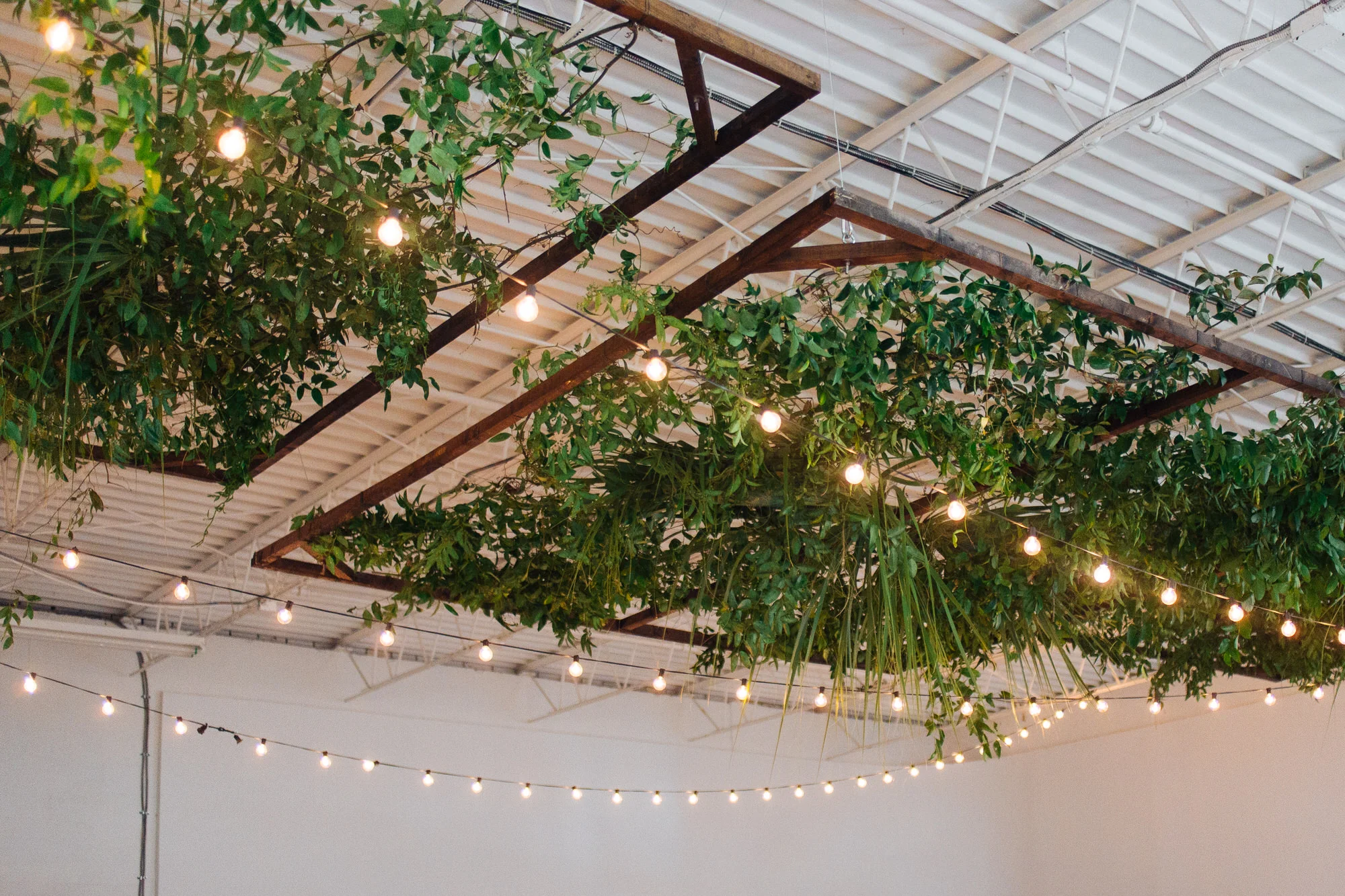 Melissa and Tyler-8.jpg