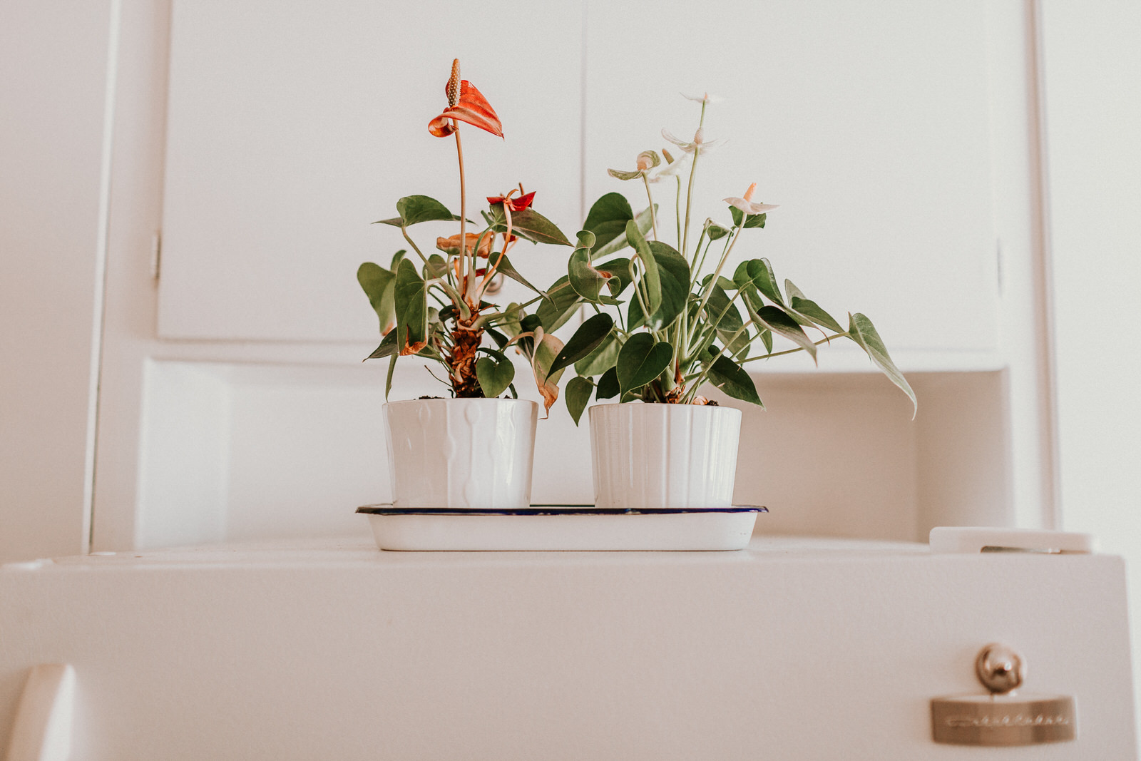 Kirk and Ryan-14.jpg