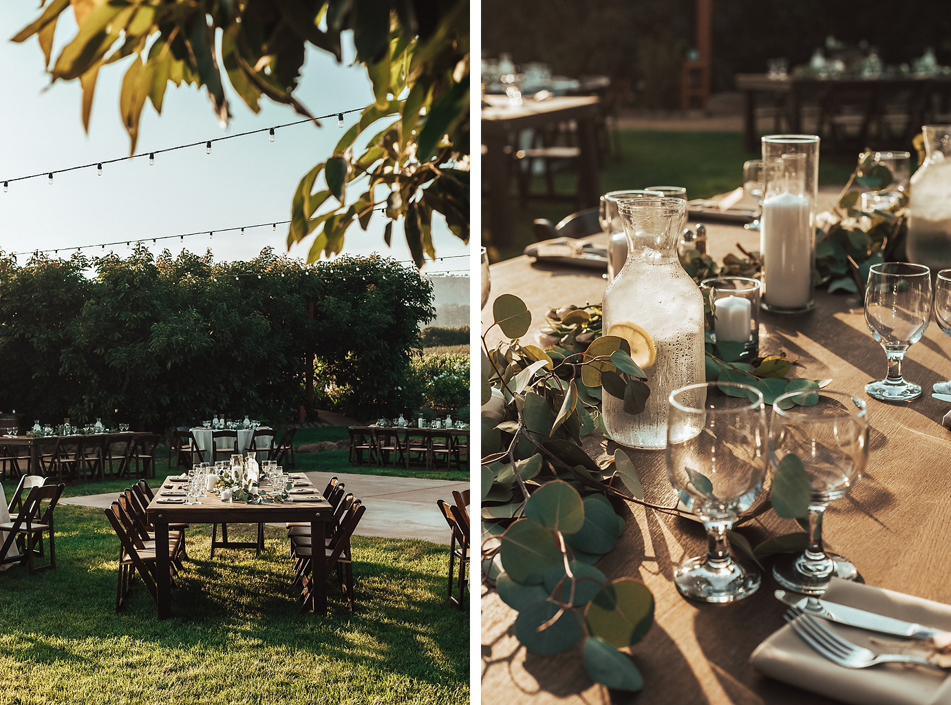 Katianna-and-Derrick (476 of 681).png