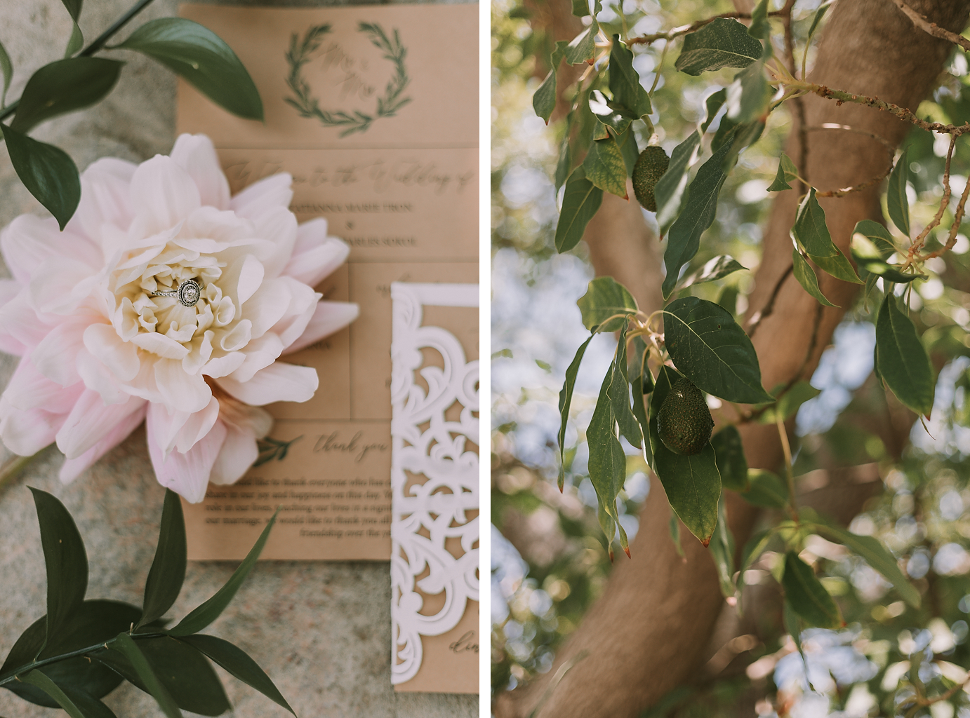 Katianna-and-Derrick (476 of 6822).png