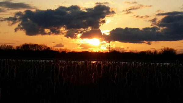 sunset.png