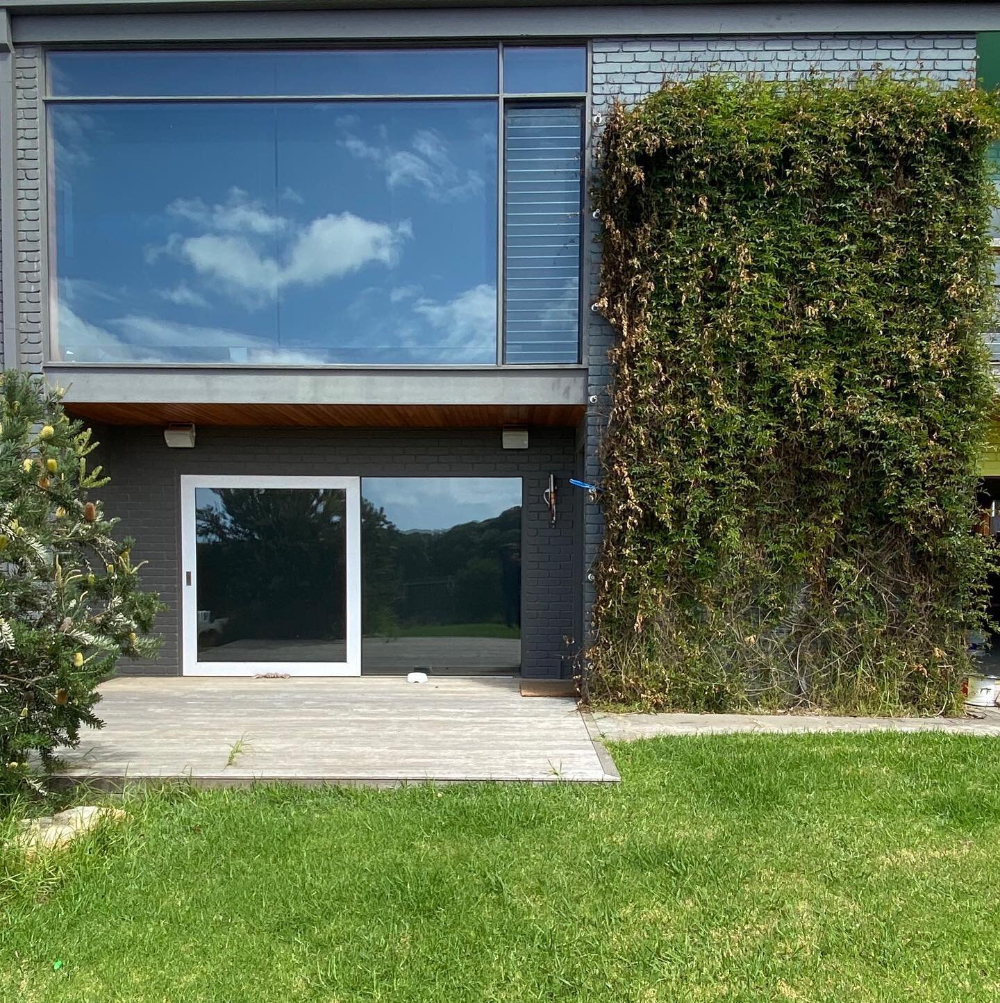 Green and blue
Anglesea House 4
Revisited

#emmamitchellarchitect #anglesearchitecture #dulux #verticalgarden #landscapedesign #australianarchitecture #beachhouse