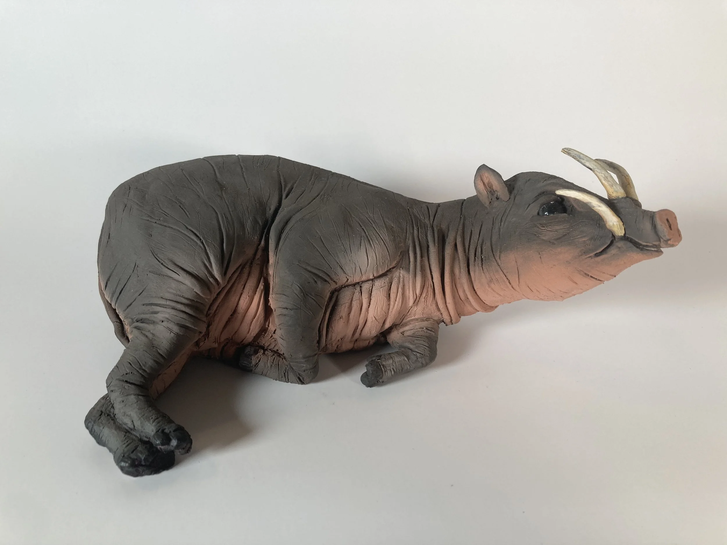 Babirusa